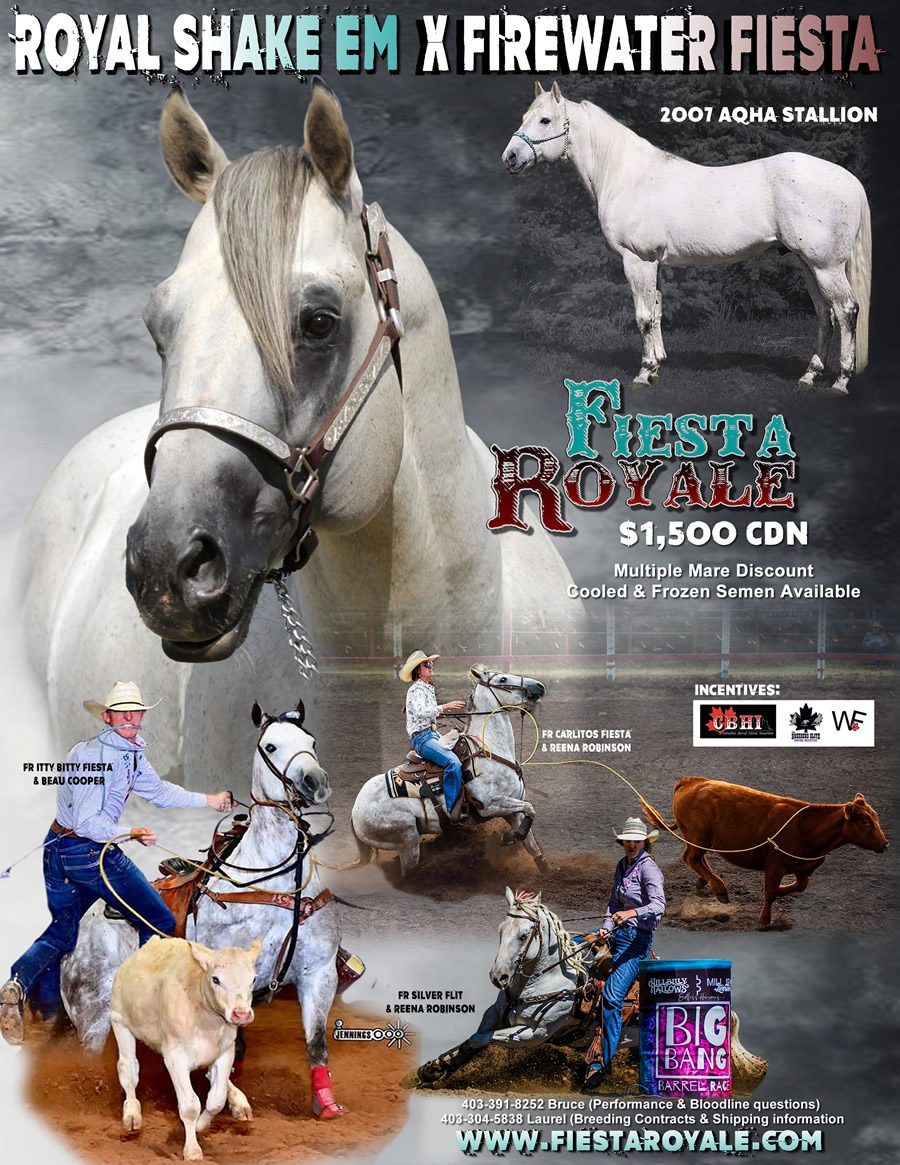 Fiesta Royale stallion advertisement flyer