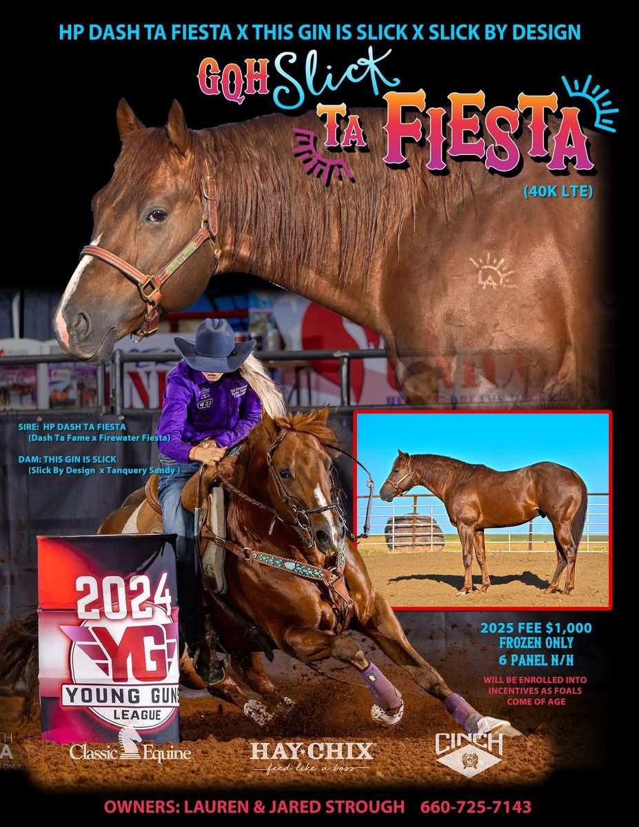 GQH Slick Ta Fiesta stallion advertisement flyer