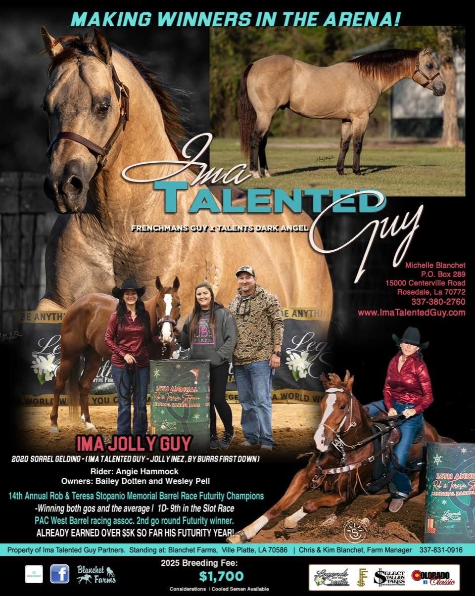 Ima Talented Guy stallion advertisement flyer