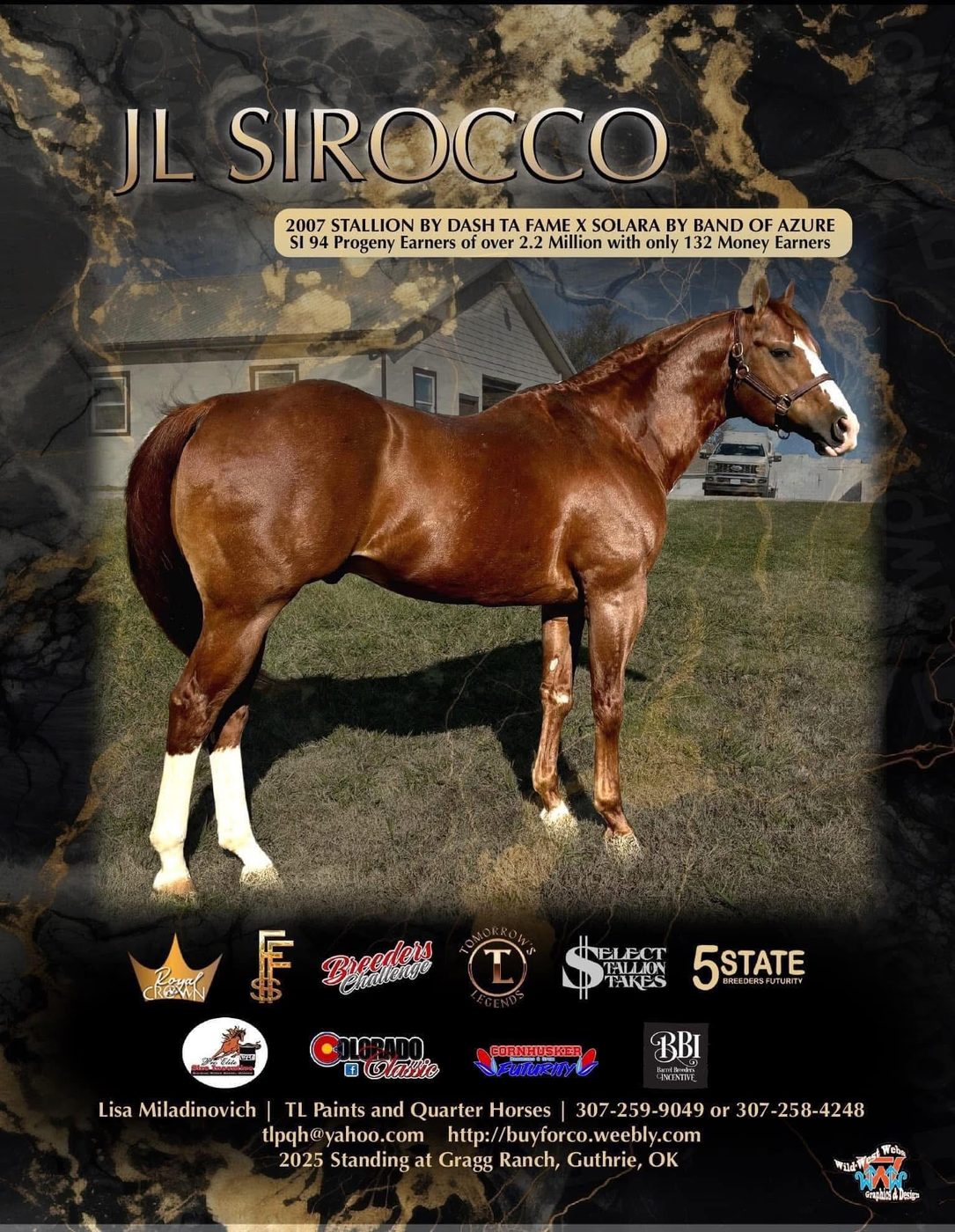 JL Sirocco stallion advertisement flyer