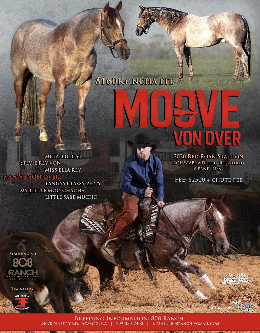 Moove Von Over stallion advertisement flyer
