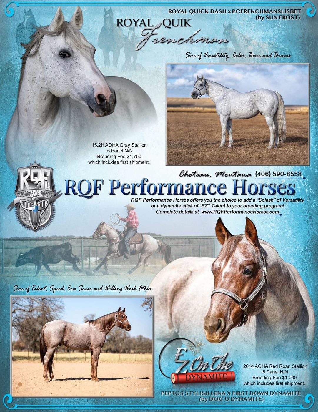 RQF Performance Horses stallion advertisement flyer